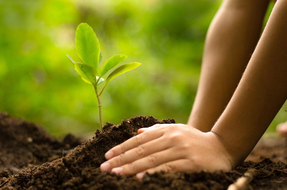 Helping us to become a beneficial person,moulding our strengths & curving the weaknesses
